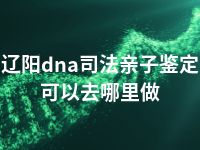 辽阳dna司法亲子鉴定可以去哪里做