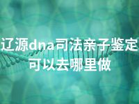 辽源dna司法亲子鉴定可以去哪里做