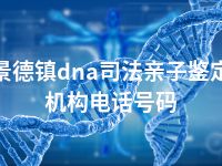 景德镇dna司法亲子鉴定机构电话号码