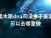 佳木斯dna司法亲子鉴定可以去哪里做