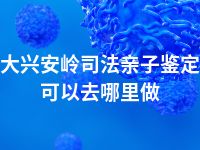 大兴安岭司法亲子鉴定可以去哪里做