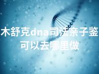 图木舒克dna司法亲子鉴定可以去哪里做