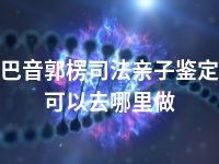 巴音郭楞司法亲子鉴定可以去哪里做