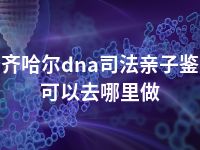 齐齐哈尔dna司法亲子鉴定可以去哪里做