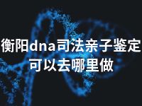 衡阳dna司法亲子鉴定可以去哪里做