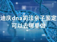 迪庆dna司法亲子鉴定可以去哪里做