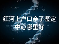 红河上户口亲子鉴定中心哪里好