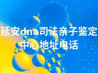 延安dna司法亲子鉴定中心地址电话