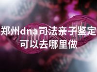 郑州dna司法亲子鉴定可以去哪里做