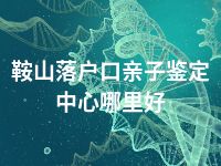 鞍山落户口亲子鉴定中心哪里好