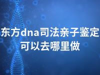 东方dna司法亲子鉴定可以去哪里做