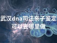 武汉dna司法亲子鉴定可以去哪里做