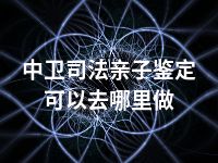 中卫司法亲子鉴定可以去哪里做