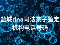 盐城dna司法亲子鉴定机构电话号码