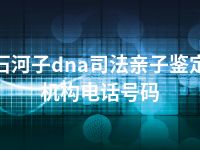 石河子dna司法亲子鉴定机构电话号码