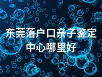 东莞落户口亲子鉴定中心哪里好