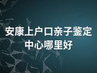 安康上户口亲子鉴定中心哪里好