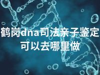 鹤岗dna司法亲子鉴定可以去哪里做