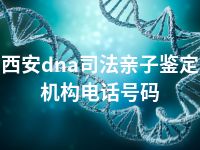 西安dna司法亲子鉴定机构电话号码