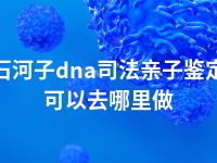 石河子dna司法亲子鉴定可以去哪里做