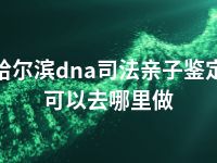 哈尔滨dna司法亲子鉴定可以去哪里做