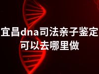 宜昌dna司法亲子鉴定可以去哪里做