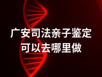 广安司法亲子鉴定可以去哪里做