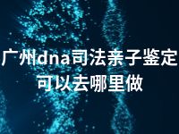 广州dna司法亲子鉴定可以去哪里做