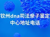 钦州dna司法亲子鉴定中心地址电话