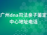 广州dna司法亲子鉴定中心地址电话