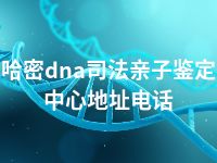 哈密dna司法亲子鉴定中心地址电话