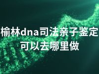 榆林dna司法亲子鉴定可以去哪里做