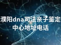 濮阳dna司法亲子鉴定中心地址电话