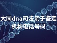 大同dna司法亲子鉴定机构电话号码