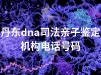 丹东dna司法亲子鉴定机构电话号码