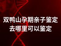 双鸭山孕期亲子鉴定去哪里可以鉴定