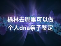 榆林去哪里可以做个人dna亲子鉴定