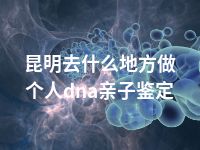 昆明去什么地方做个人dna亲子鉴定