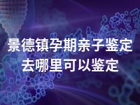 景德镇孕期亲子鉴定去哪里可以鉴定