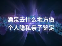 酒泉去什么地方做个人隐私亲子鉴定