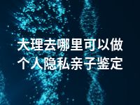 大理去哪里可以做个人隐私亲子鉴定