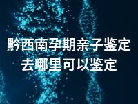 黔西南孕期亲子鉴定去哪里可以鉴定