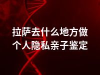 拉萨去什么地方做个人隐私亲子鉴定