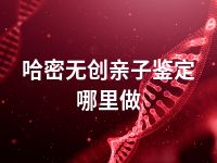 哈密无创亲子鉴定哪里做