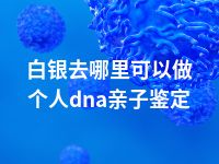 白银去哪里可以做个人dna亲子鉴定