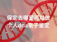 保定去哪里可以做个人dna亲子鉴定