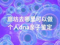 廊坊去哪里可以做个人dna亲子鉴定