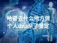 哈密去什么地方做个人dna亲子鉴定