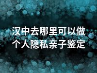 汉中去哪里可以做个人隐私亲子鉴定