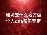 潍坊去什么地方做个人dna亲子鉴定